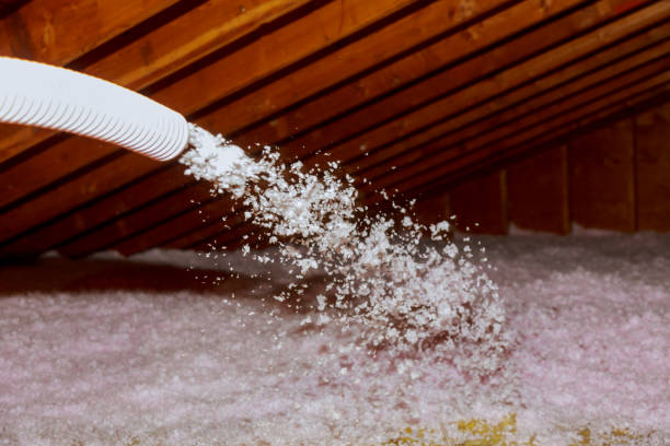 Best Insulation for New Construction  in Knob Noster, MO