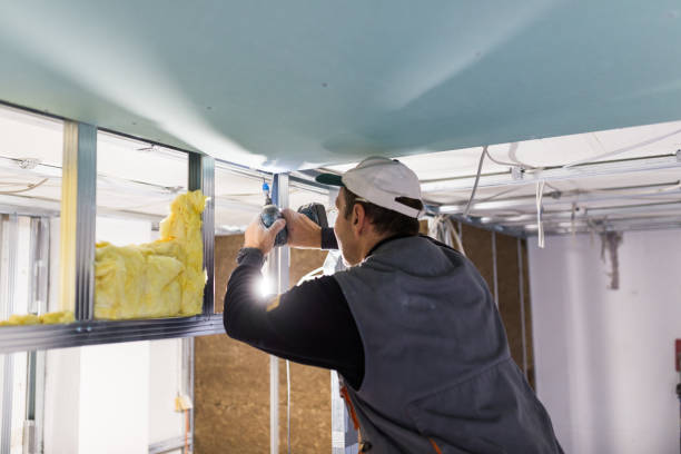 Best Professional Insulation Contractor  in Knob Noster, MO