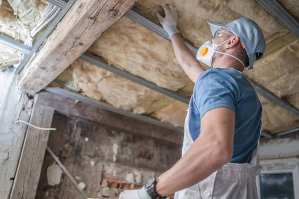 Best Crawl Space Insulation  in Knob Noster, MO