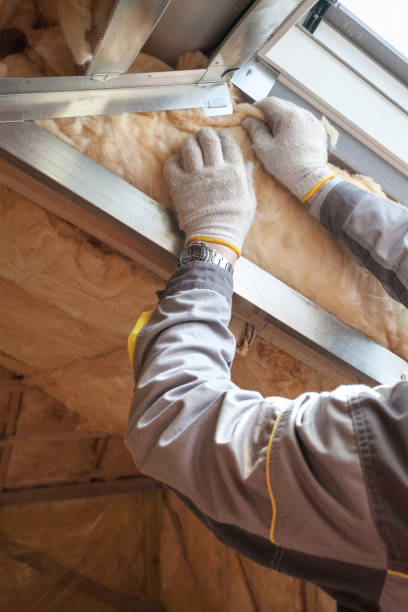 Best Insulation Removal  in Knob Noster, MO