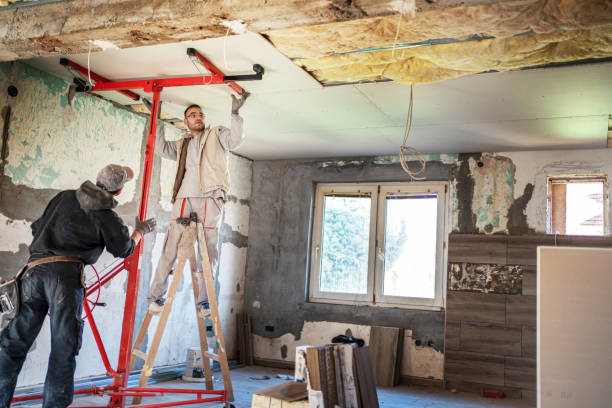 Best Residential Insulation Services  in Knob Noster, MO