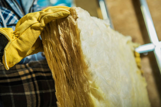 Best Insulation Replacement Services  in Knob Noster, MO