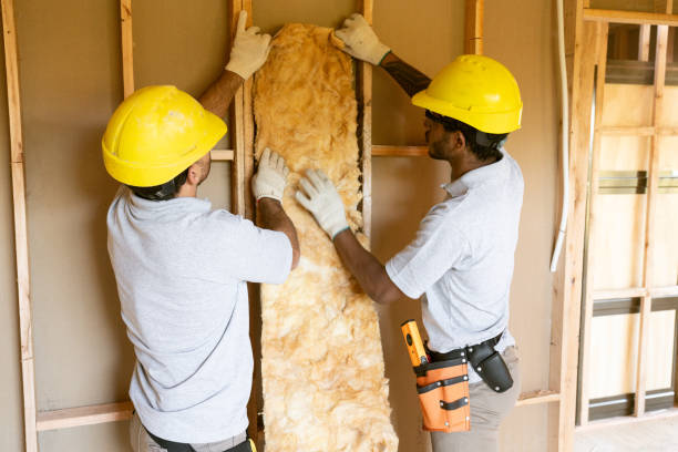 Best Commercial Insulation Contractor  in Knob Noster, MO