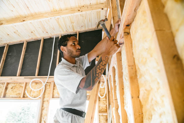 Best Insulation Inspection Services  in Knob Noster, MO