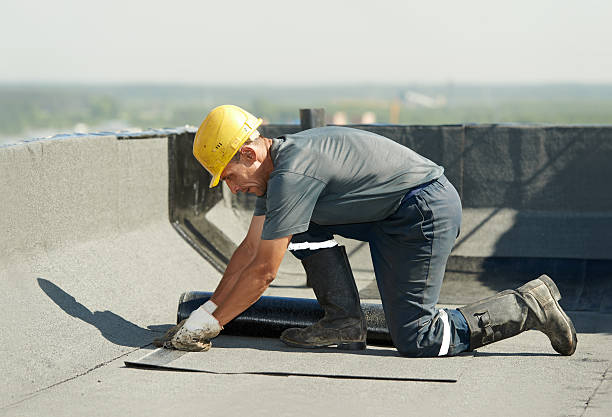 Best Wall Insulation Contractor  in Knob Noster, MO