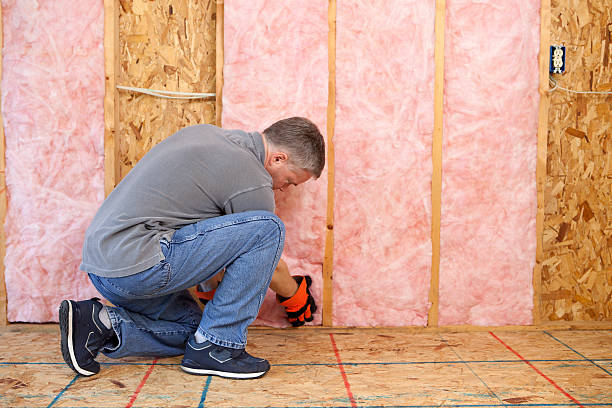 Best Attic Insulation Installation  in Knob Noster, MO