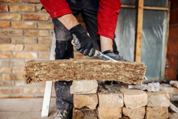 Best Garage Insulation Installation  in Knob Noster, MO