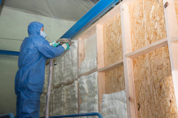 Range of Insulation Solutions in Knob Noster, MO