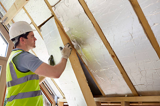 Best Insulation Contractor Near Me  in Knob Noster, MO